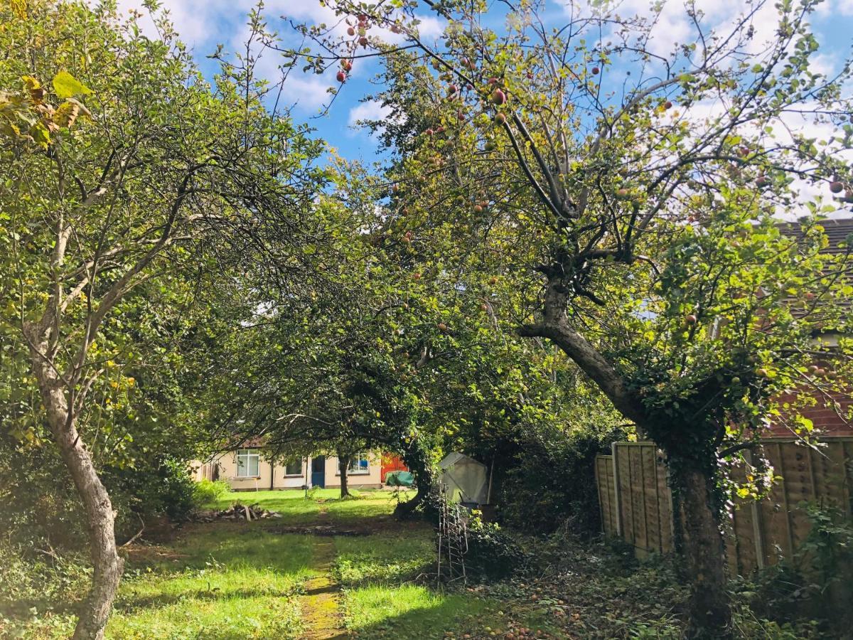 Amazing Quiet Garden House near London Luton Airport Appartement Buitenkant foto